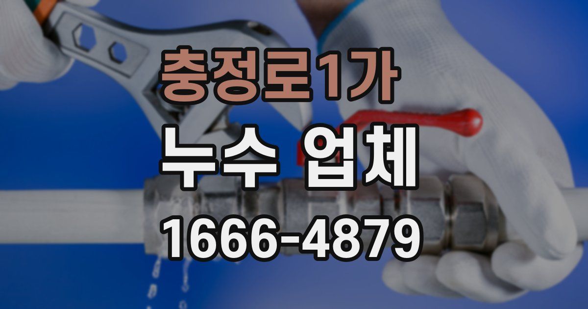 충정로1가 누수 업체