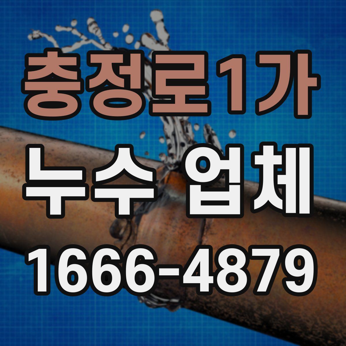 충정로1가 누수 업체