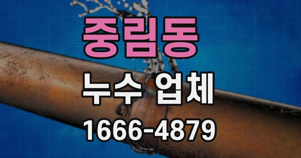 중림동 누수 업체