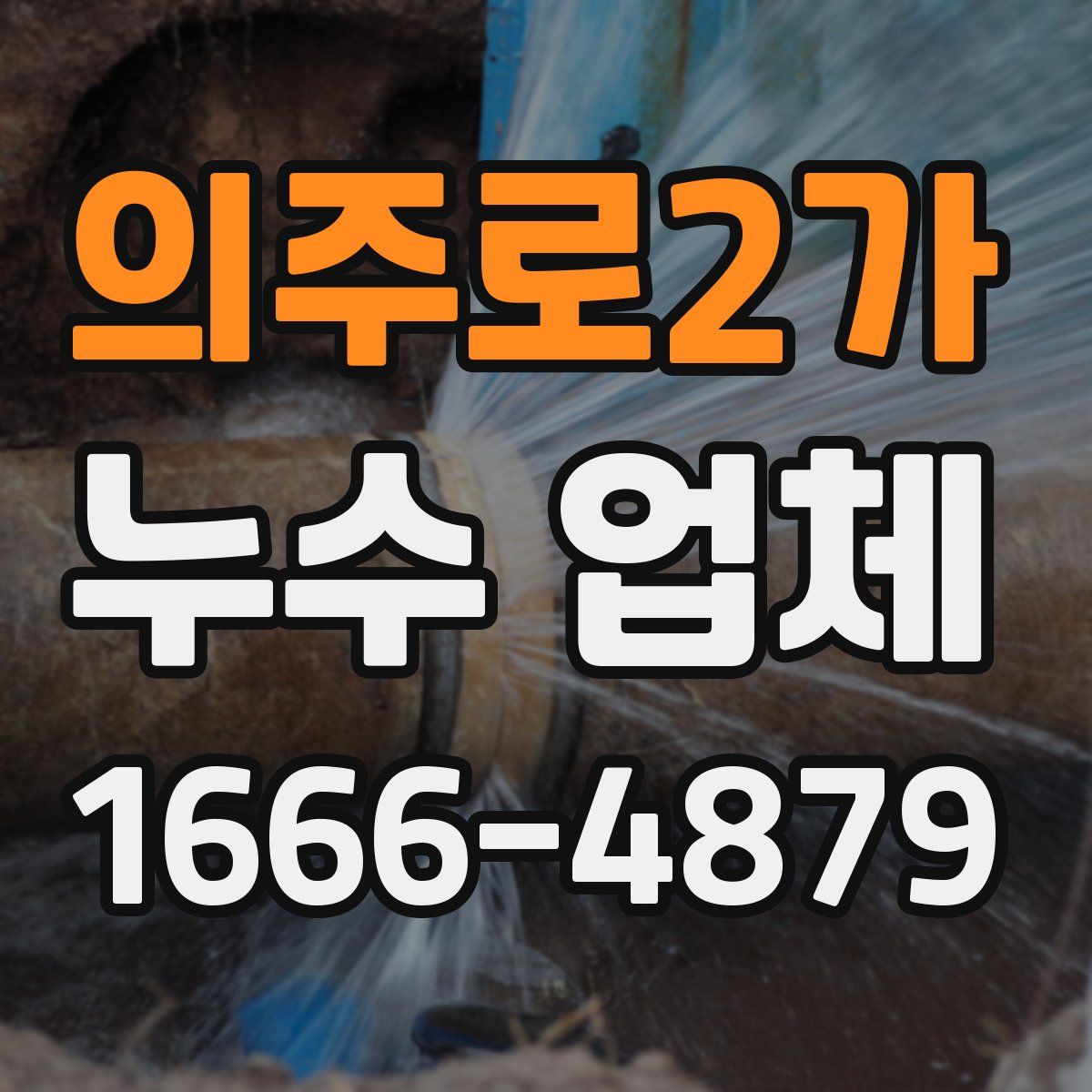 의주로2가 누수 업체
