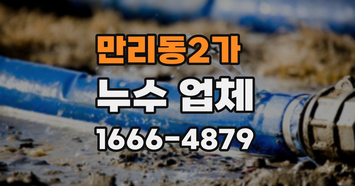 만리동2가 누수 업체