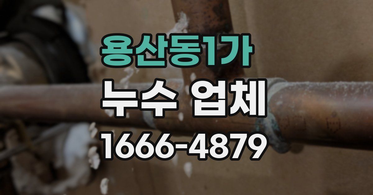용산동1가 누수 업체