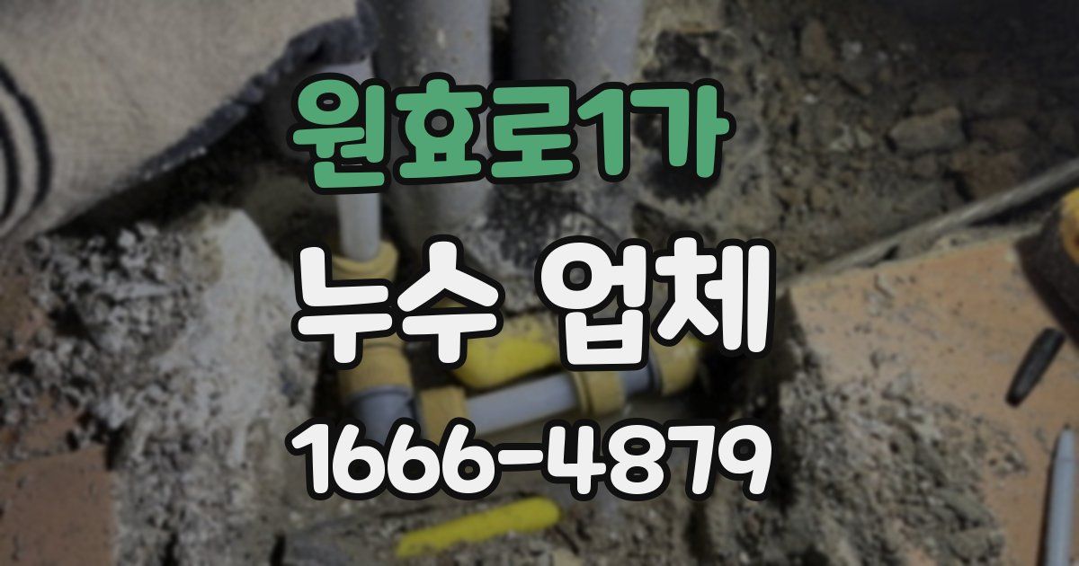 원효로1가 누수 업체