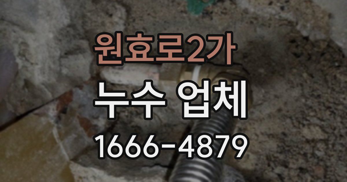 원효로2가 누수 업체