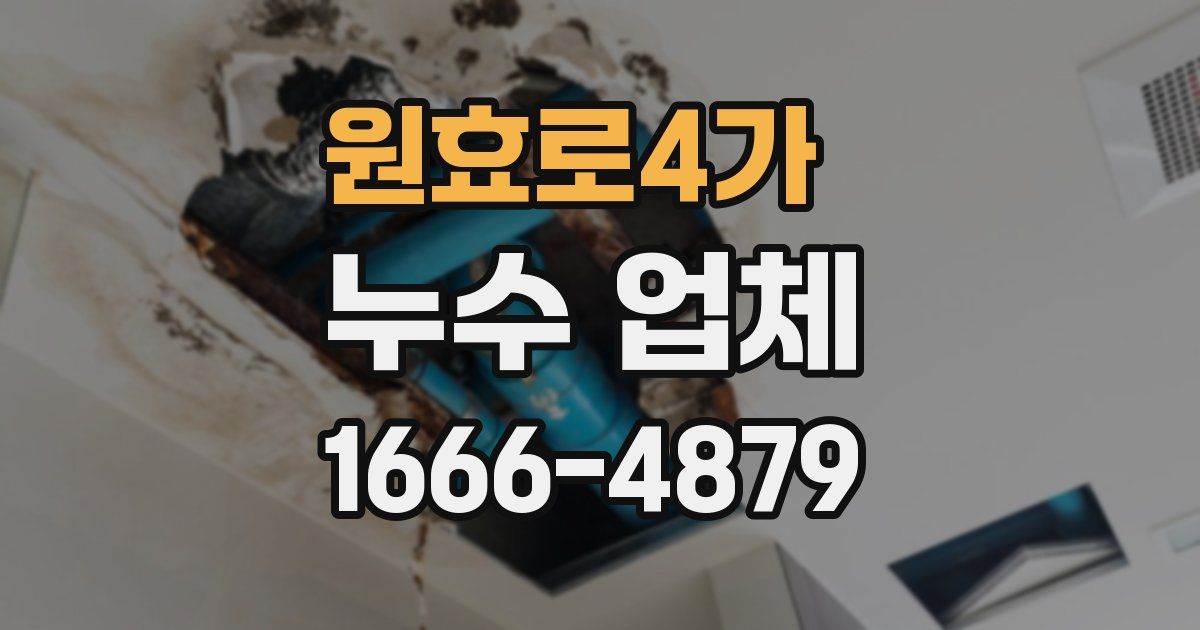 원효로4가 누수 업체