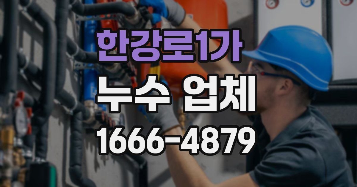 한강로1가 누수 업체