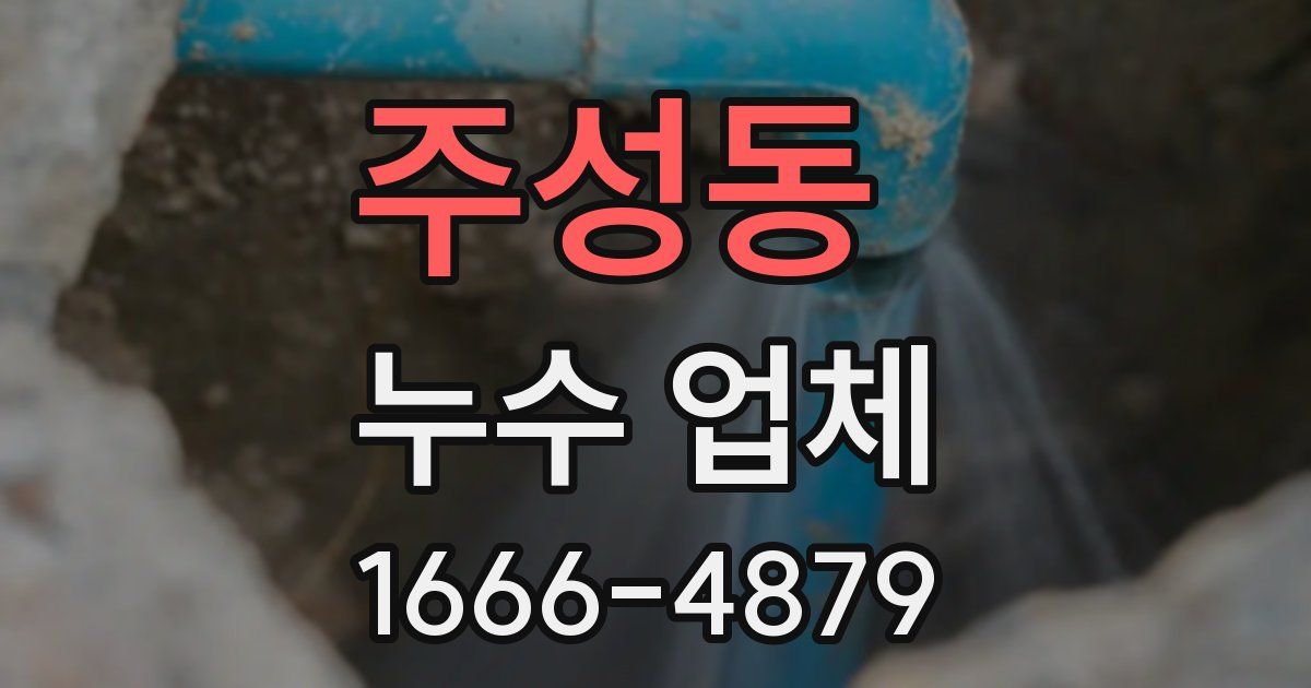 주성동 누수 업체