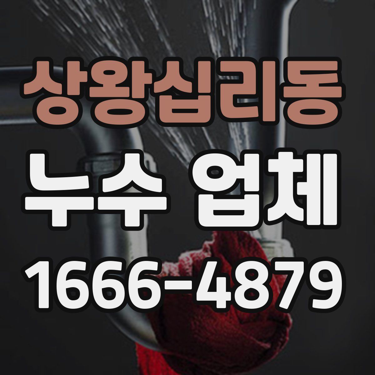 상왕십리동 누수 업체