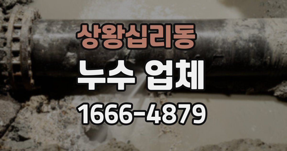상왕십리동 누수 업체
