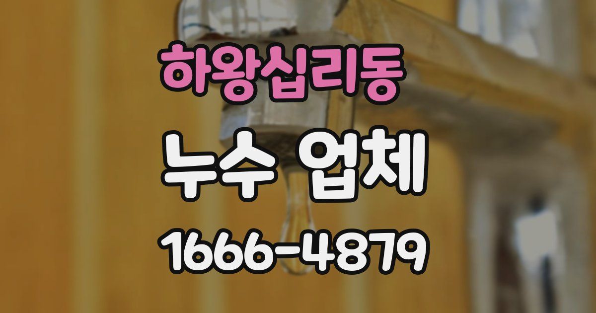 하왕십리동 누수 업체