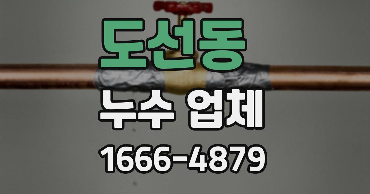 도선동 누수 업체
