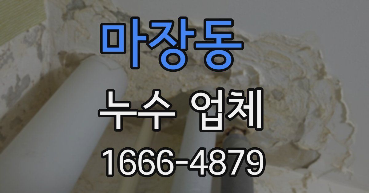 마장동 누수 업체