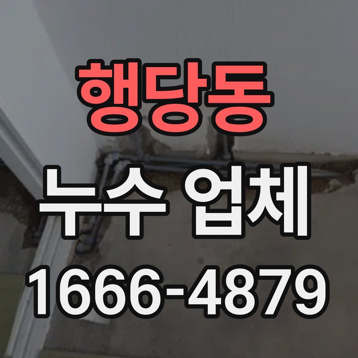 행당동 누수 업체