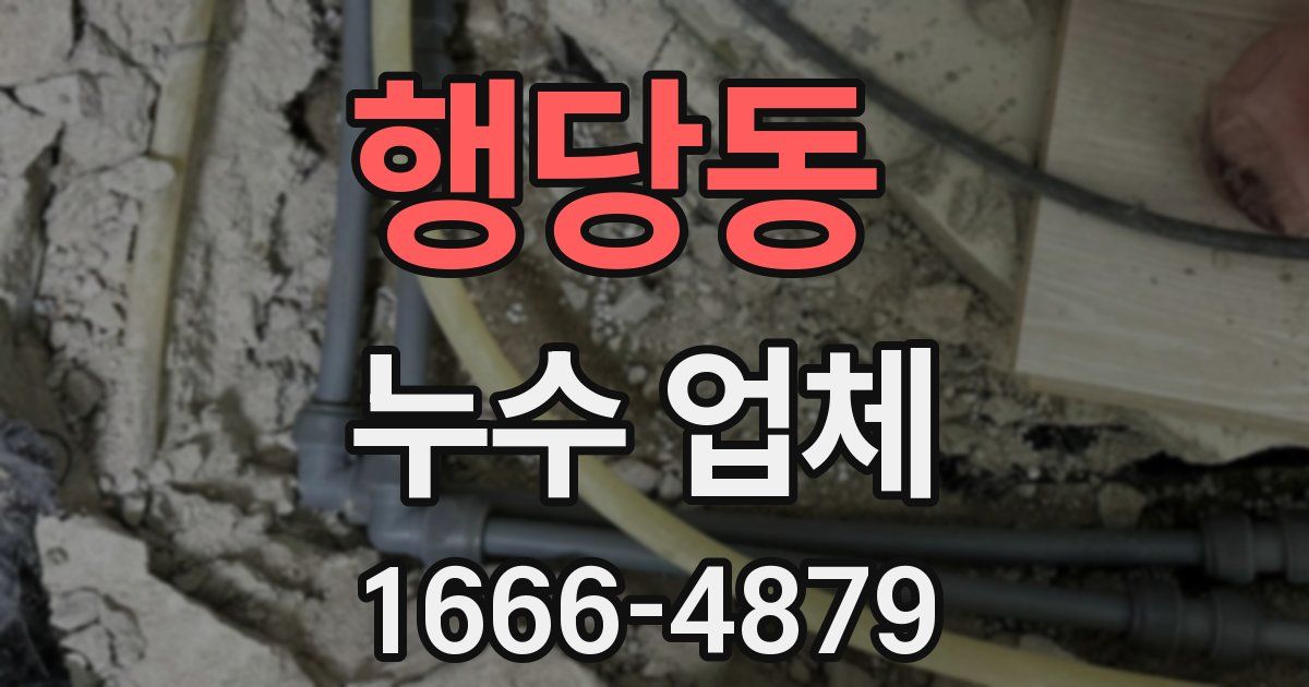 행당동 누수 업체