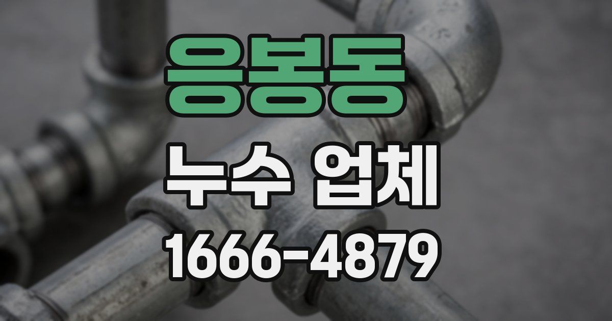 응봉동 누수 업체