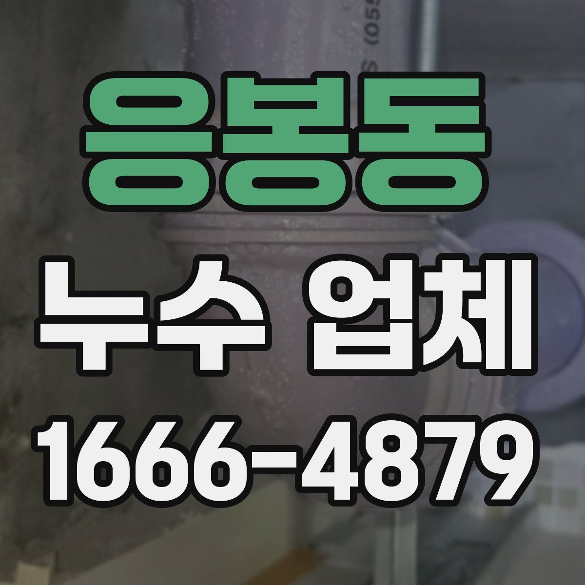 응봉동 누수 업체