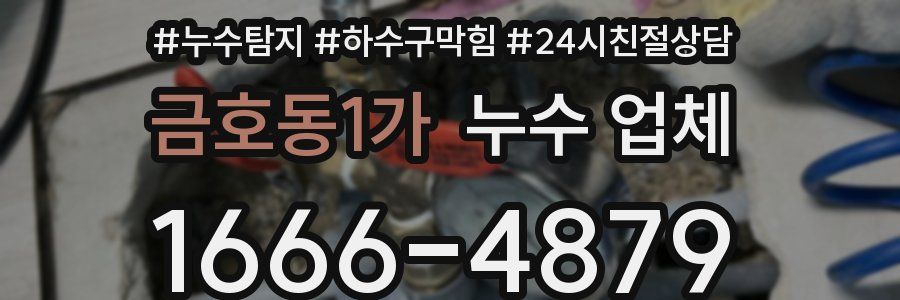 금호동1가 누수 업체