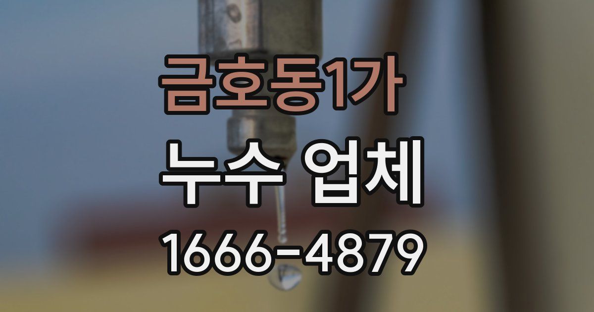 금호동1가 누수 업체