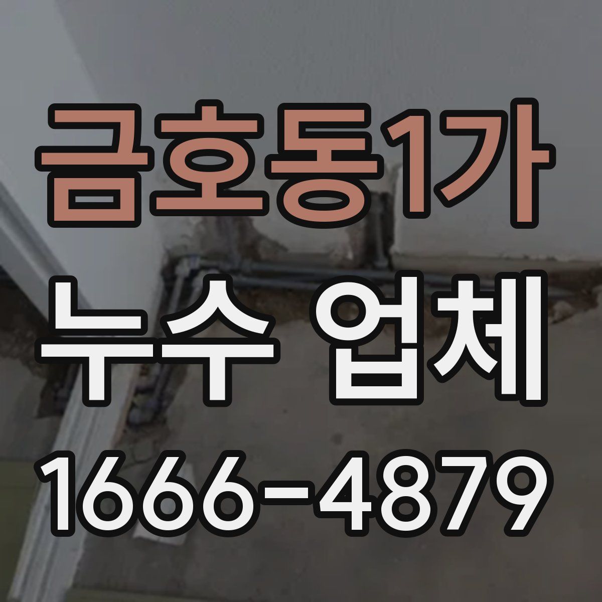 금호동1가 누수 업체