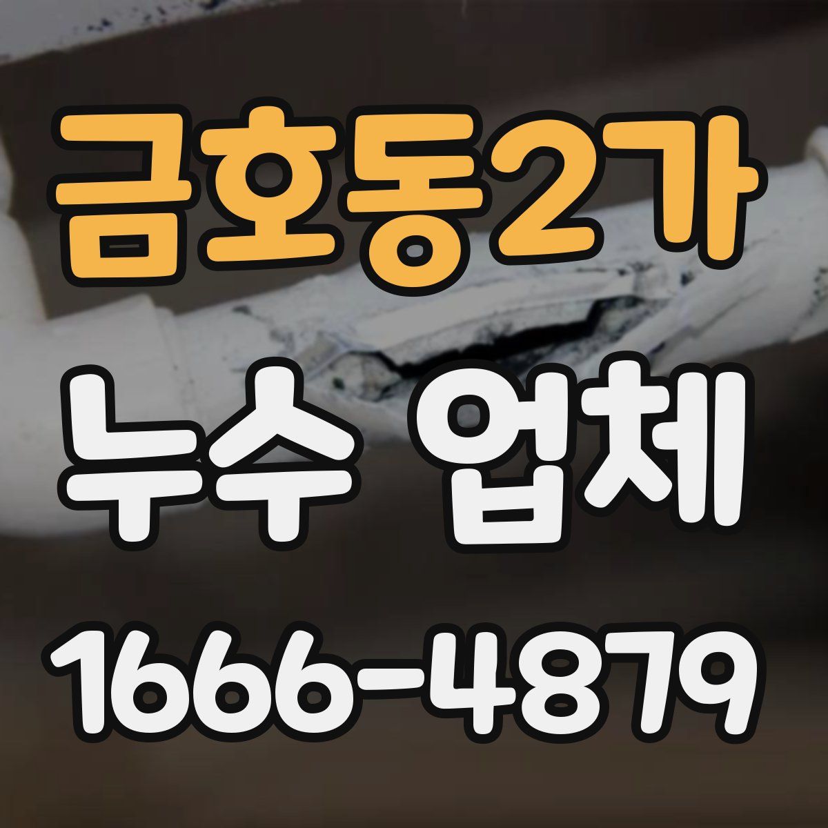 금호동2가 누수 업체