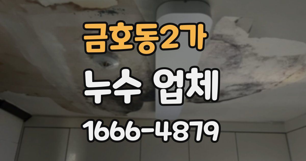 금호동2가 누수 업체