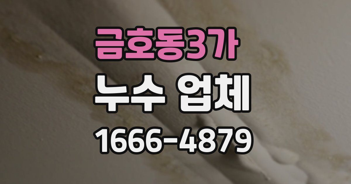 금호동3가 누수 업체