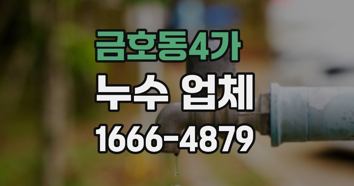 금호동4가 누수 업체