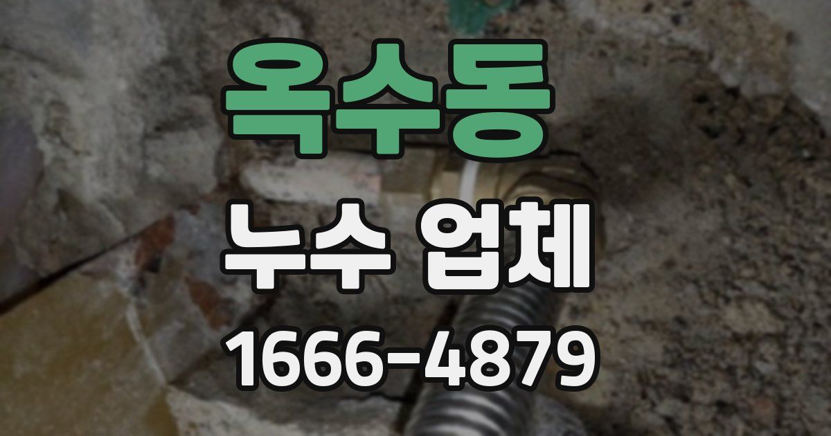 옥수동 누수 업체