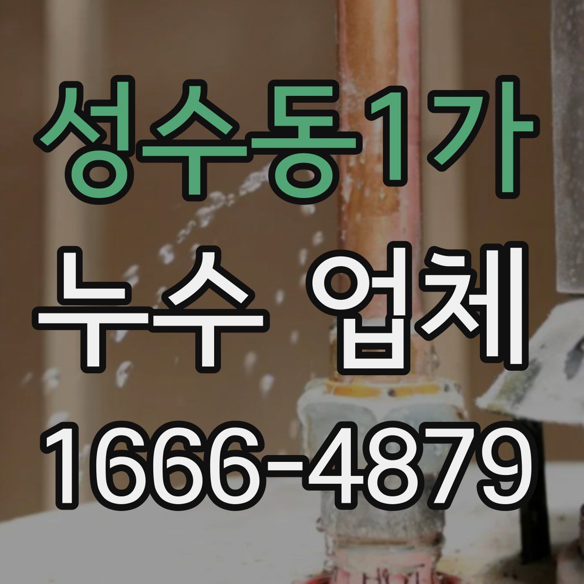 성수동1가 누수 업체