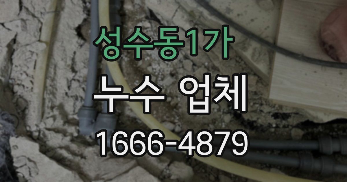 성수동1가 누수 업체