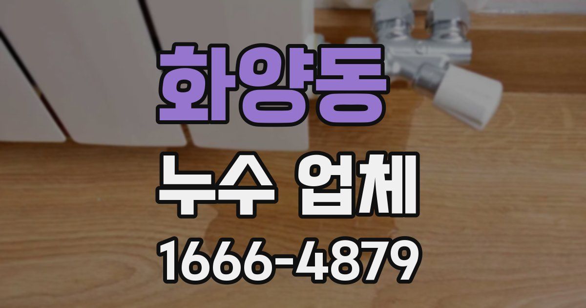 화양동 누수 업체