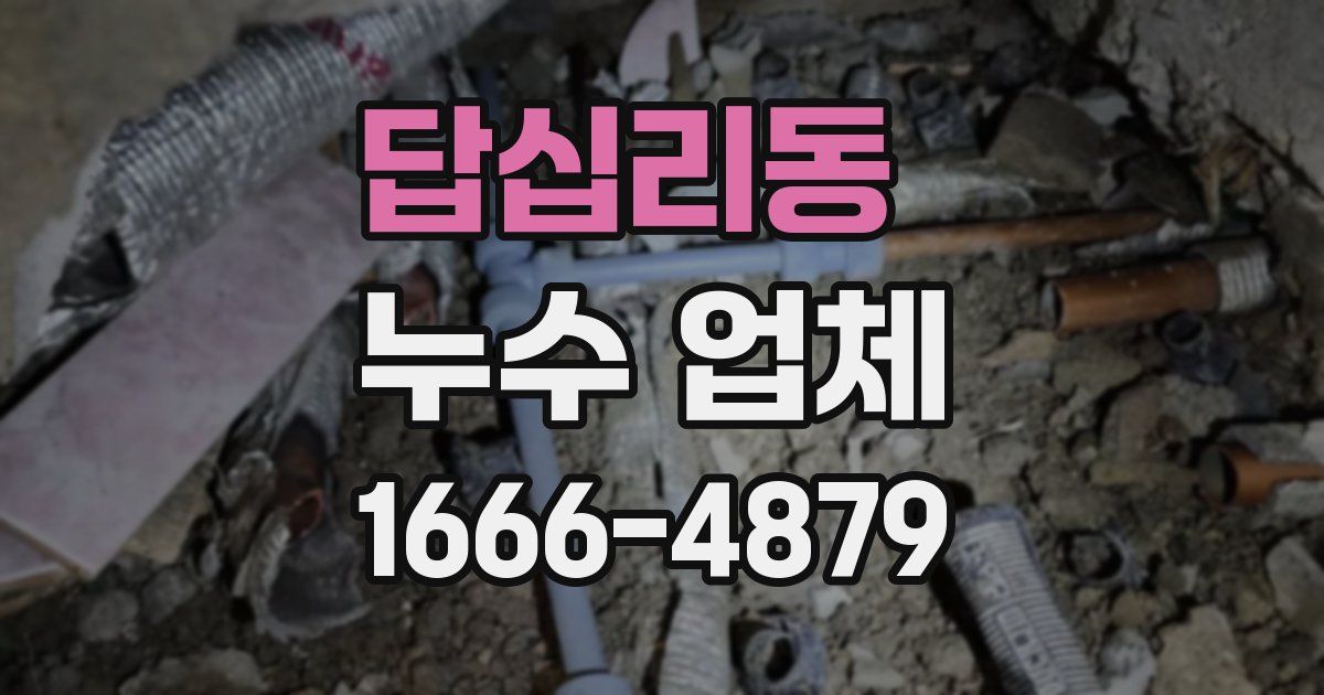 답십리동 누수 업체