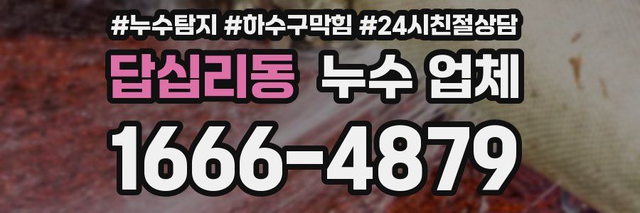 답십리동 누수 업체