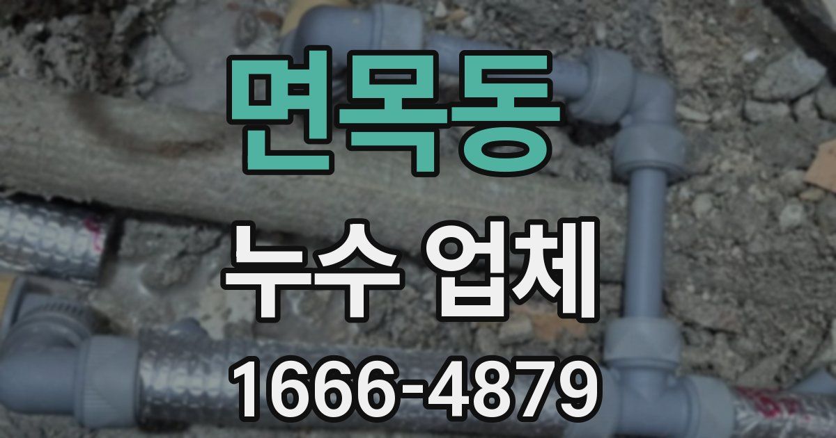 면목동 누수 업체
