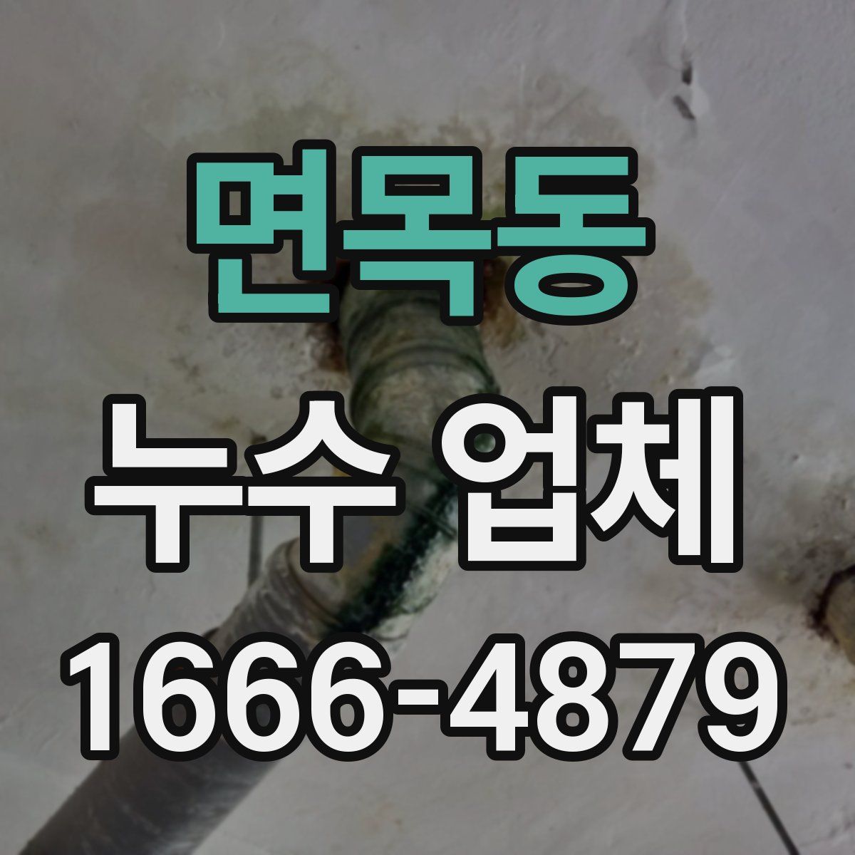면목동 누수 업체