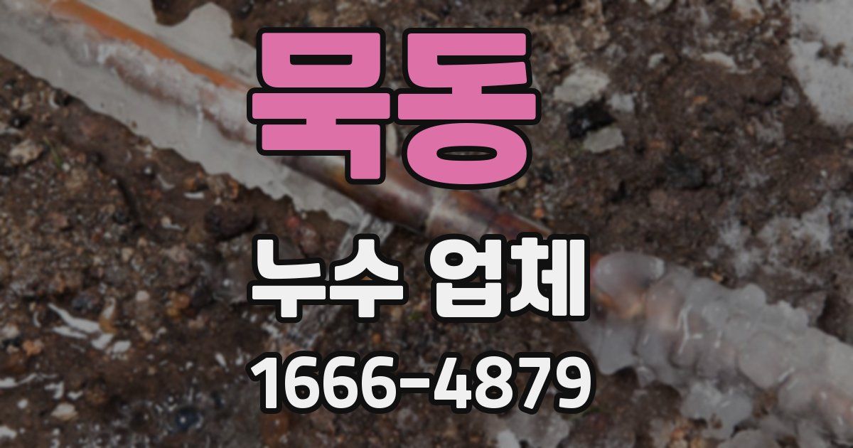 묵동 누수 업체