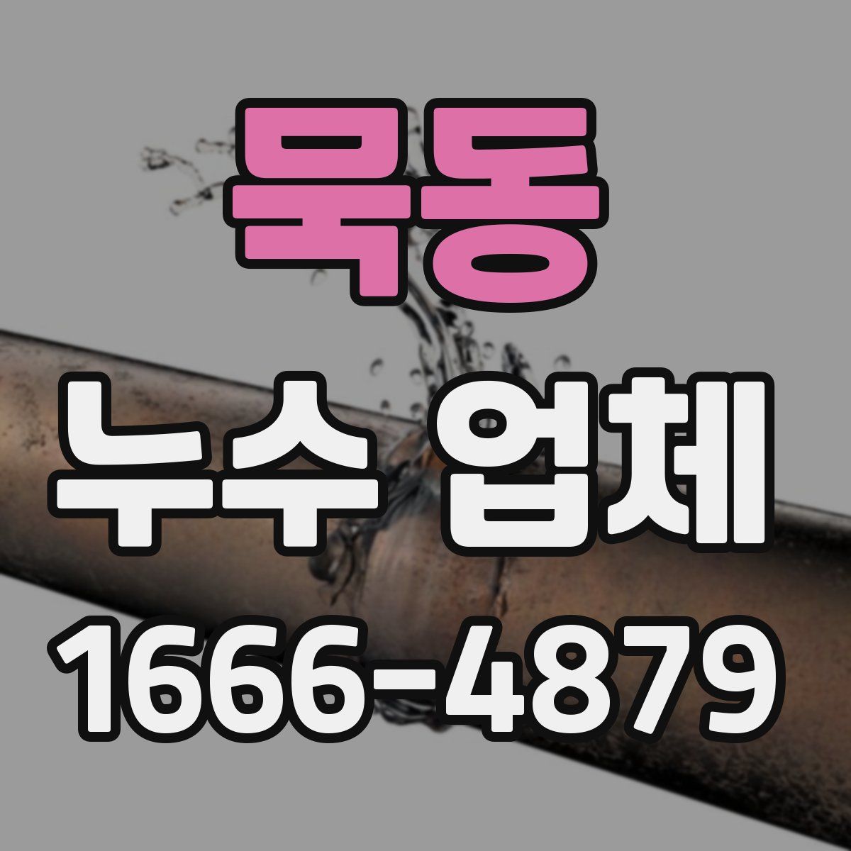 묵동 누수 업체
