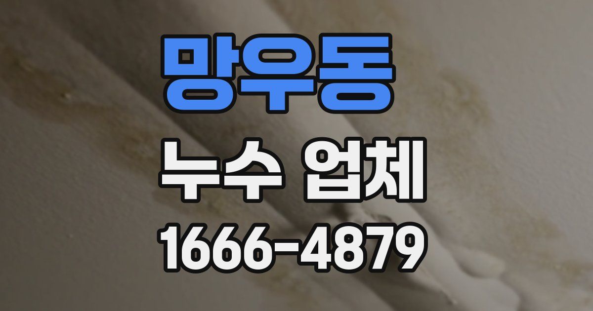 망우동 누수 업체