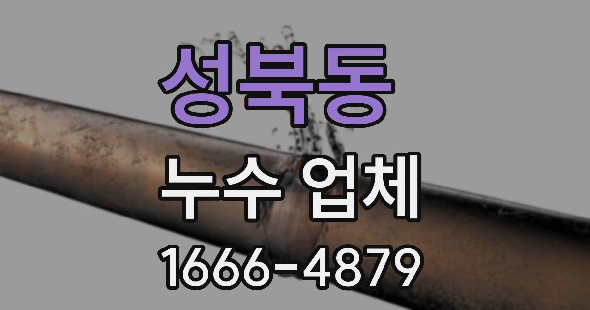 성북동 누수 업체