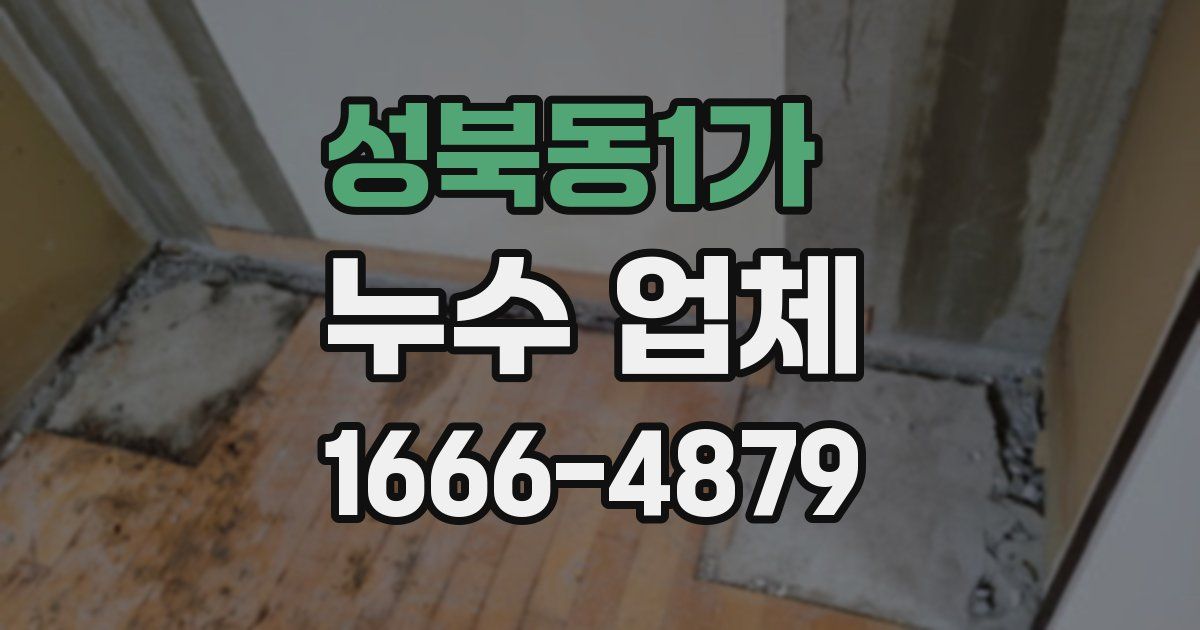성북동1가 누수 업체