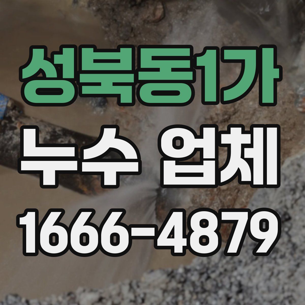 성북동1가 누수 업체