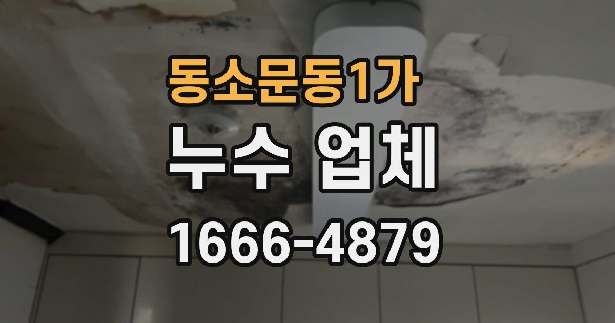동소문동1가 누수 업체
