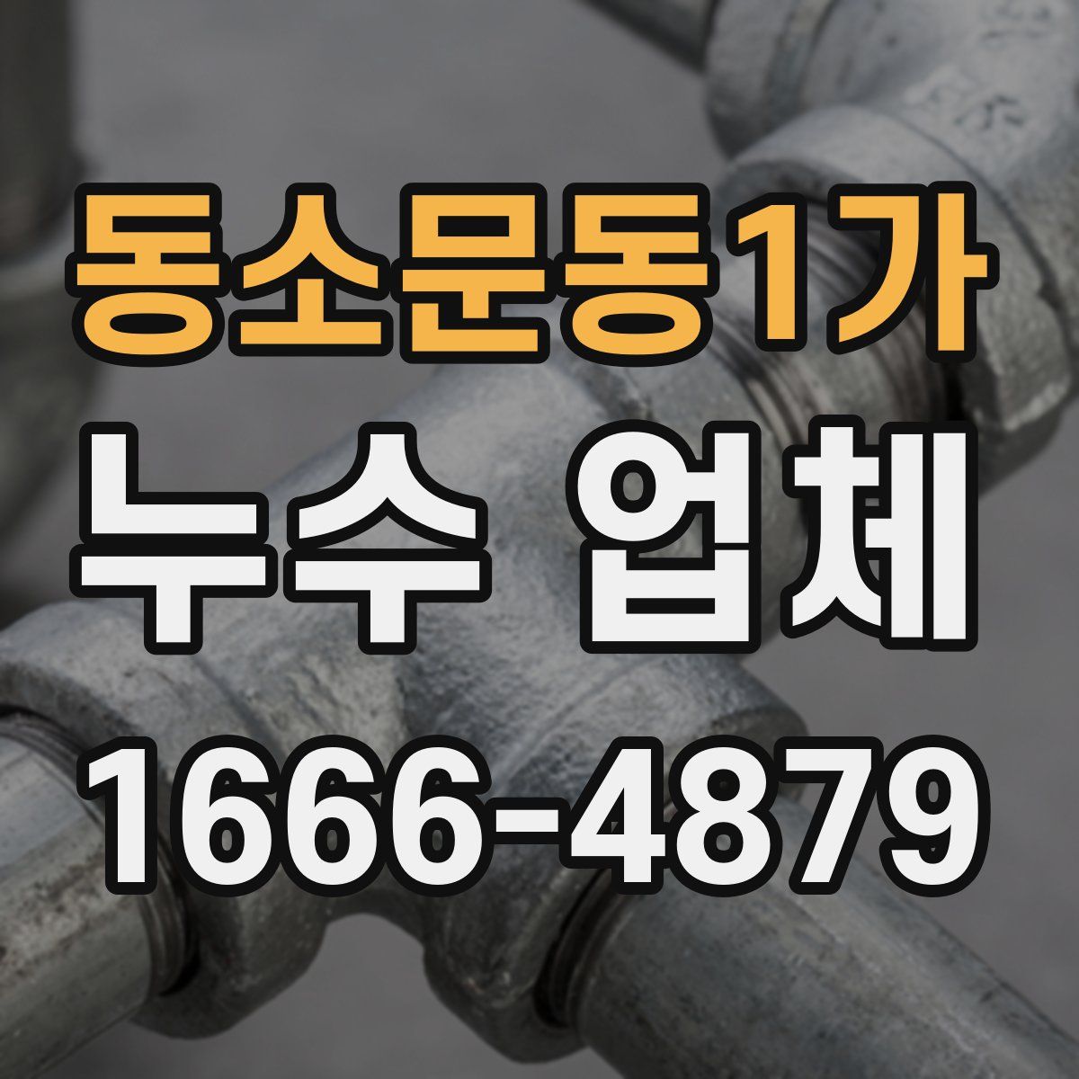 동소문동1가 누수 업체