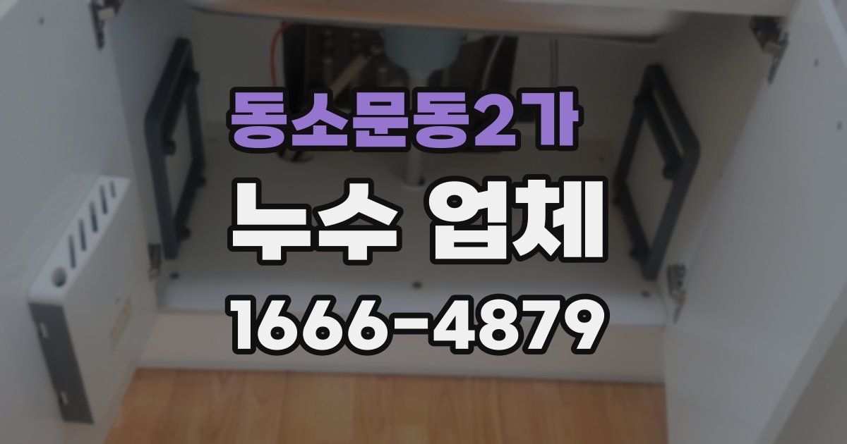 동소문동2가 누수 업체