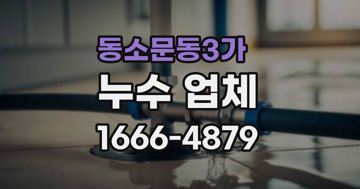 동소문동3가 누수 업체