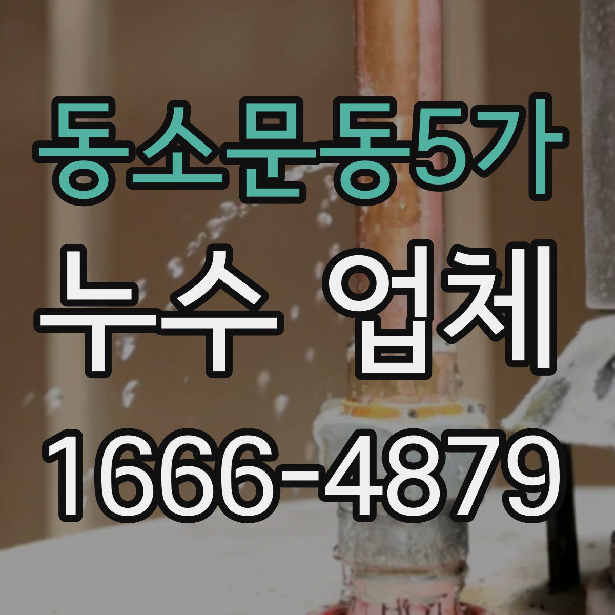 동소문동5가 누수 업체