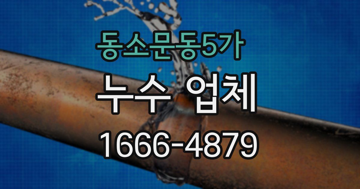 동소문동5가 누수 업체