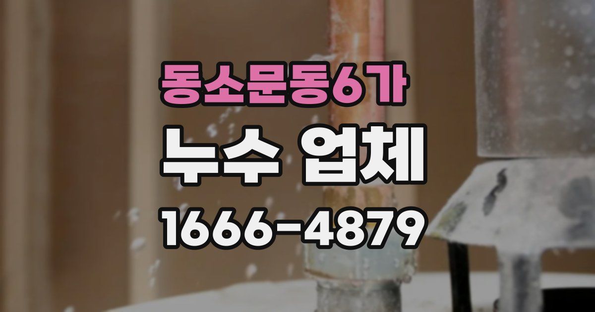 동소문동6가 누수 업체