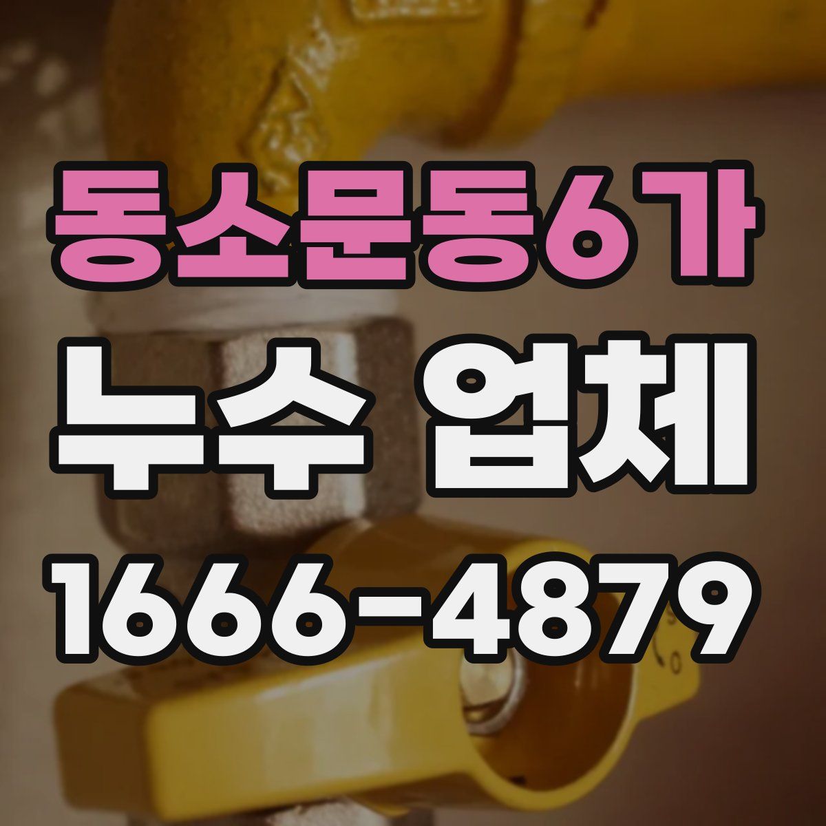 동소문동6가 누수 업체
