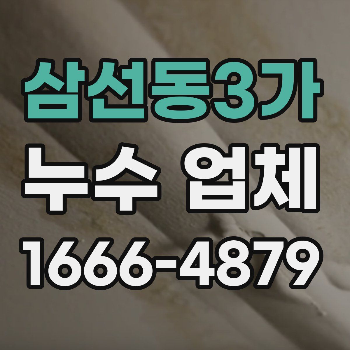 삼선동3가 누수 업체